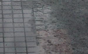 Rain drops in such profusion that ripples annihilate ripples