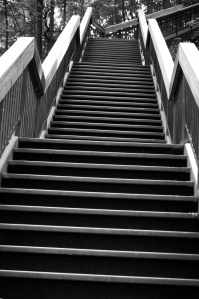 Really? What a surprise. More stairs.