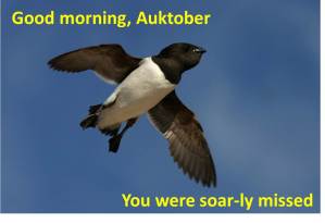 Auktober
