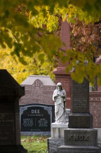 While visiting my grandparents, I saw this amazing moment of peacefulness.