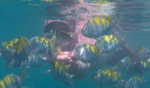One of the few photos of my brother NOT flipping the bird...here he flips fish