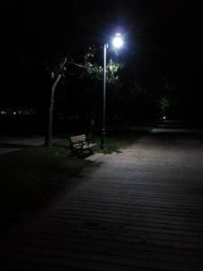 Loved the mood captured by the street lamp