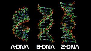 Two rights don't make a left